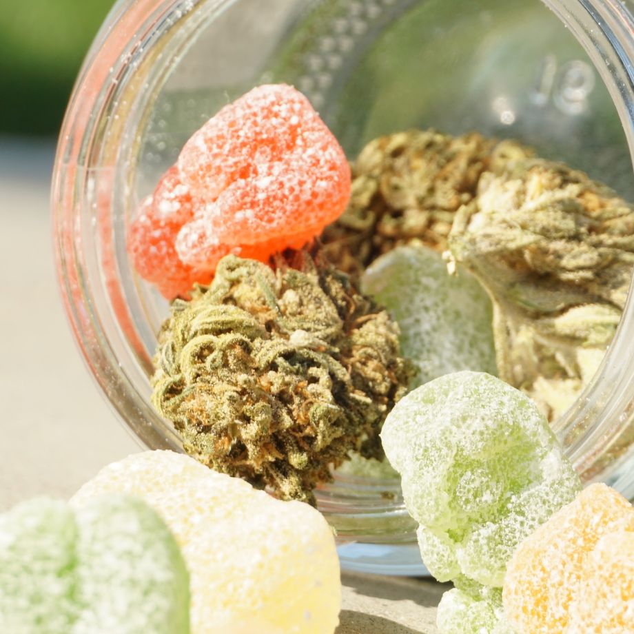 Satisfy Your Sweet Tooth: Exploring The World Of CBD Gummies